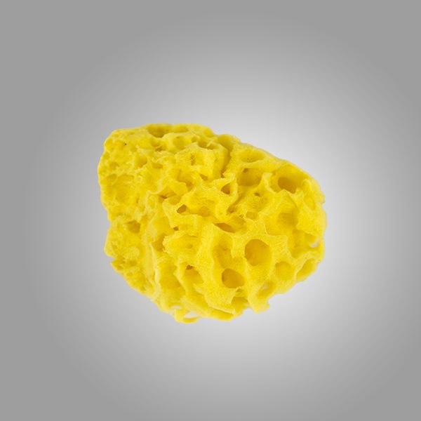 Lil’ Tots Honeycomb Bath Sea Sponge – Medium