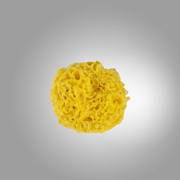 Lil’ Tots Honeycomb Bath Sea Sponge – Large